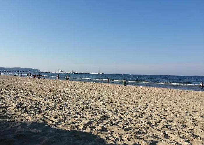 Biala Mewa I * Sopot